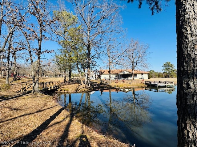 water view with a dock