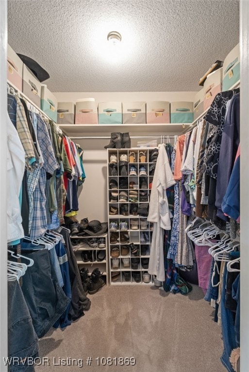 3109 Twin Lakes Pl, Alma, AR 72921 - walk in closet with carpet floors