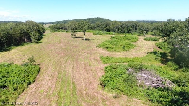 TBD James Rd, Charleston, AR 72933 - photo 1