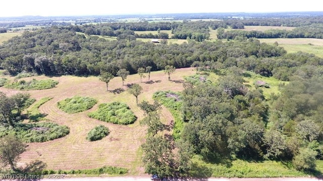 TBD James Rd, Charleston, AR 72933 - photo 4