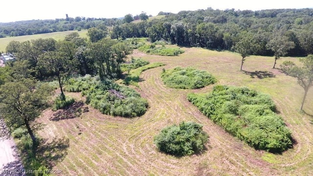 TBD James Rd, Charleston, AR 72933 - photo 9