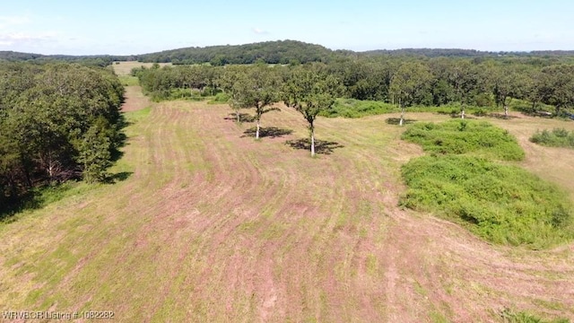 TBD James Rd, Charleston, AR 72933 - photo 18