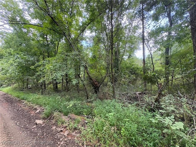 TBD E 1010th Rd, Muldrow, OK 74948 - photo 11