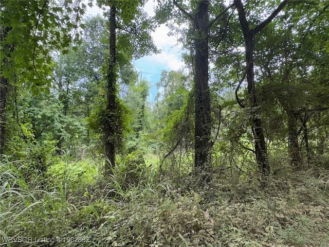 TBD E 1010th Rd, Muldrow, OK 74948 - photo 2