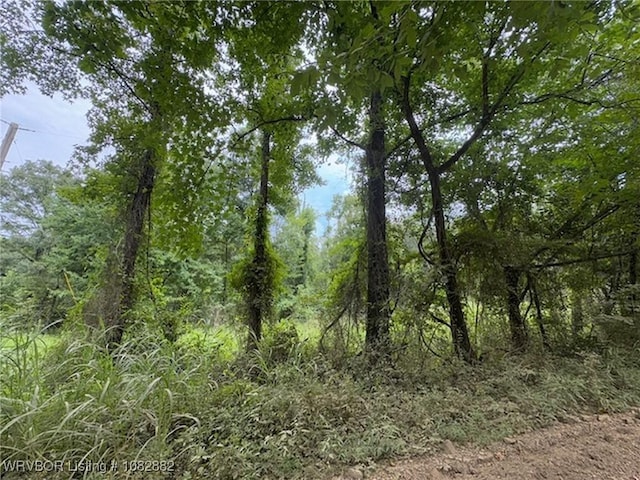 TBD E 1010th Rd, Muldrow, OK 74948 - photo 4