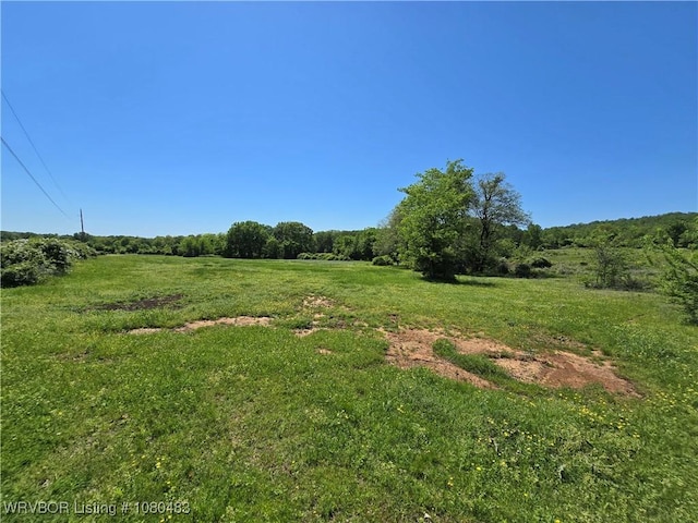 10006 Jenson Rd, Cameron, OK 74932 - photo 10