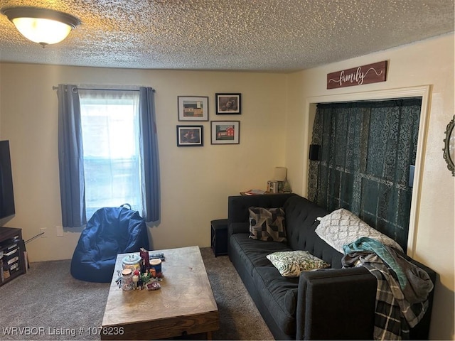 carpeted living room with a textured ceiling