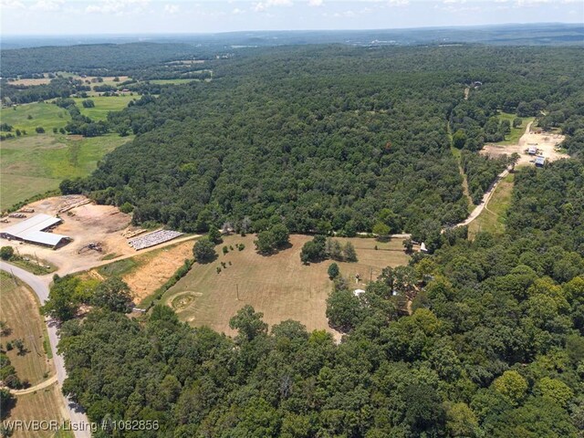 13237 White Valley Rd, Mulberry, AR 72947 - photo 71
