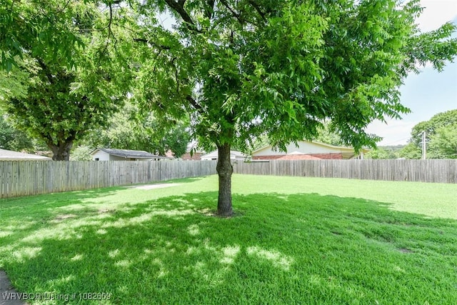 2923 Quincy St, Fort Smith, AR 72901 - photo 15