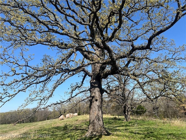28605 Nubbin Rdg, Bokoshe, OK 74930