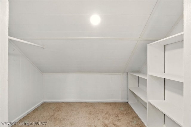 925 Cedar St, Van Buren, AR 72956 - walk in closet featuring carpet and vaulted ceiling