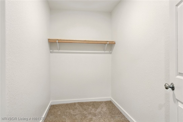 925 Cedar St, Van Buren, AR 72956 - walk in closet featuring carpet floors