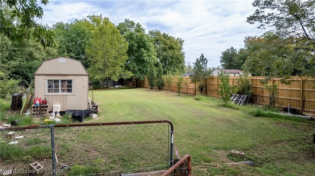 view of yard with a shed