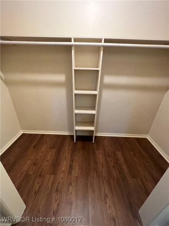 walk in closet with dark wood-type flooring
