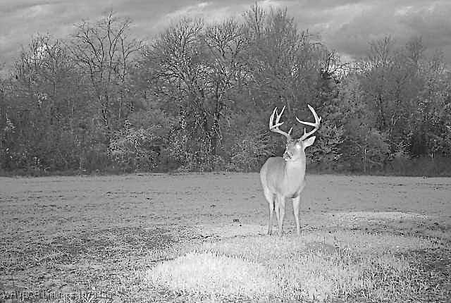 013 N Rhino Rd, Spiro, OK 74959 - photo 10