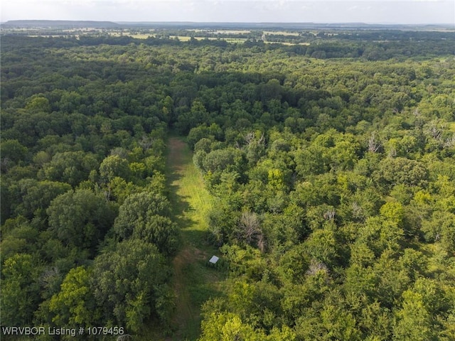 013 N Rhino Rd, Spiro, OK 74959 - photo 29