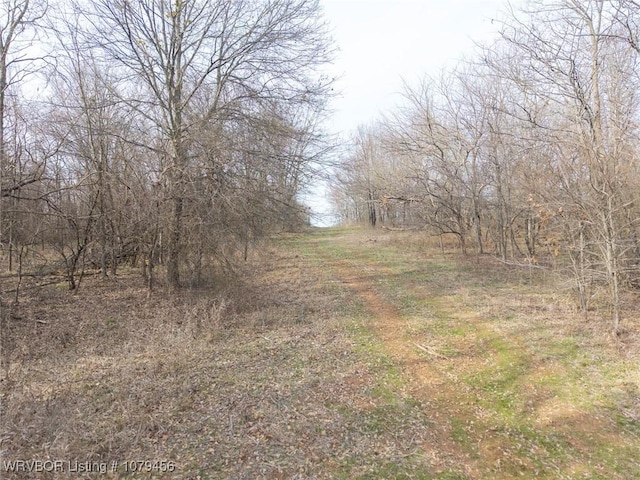 013 N Rhino Rd, Spiro, OK 74959 - photo 44