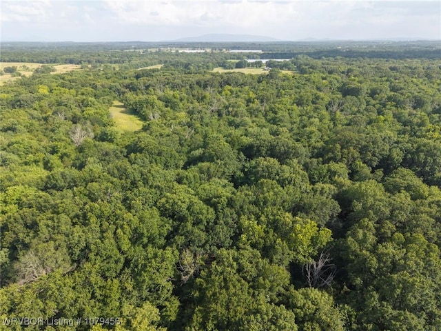 013 N Rhino Rd, Spiro, OK 74959 - photo 27