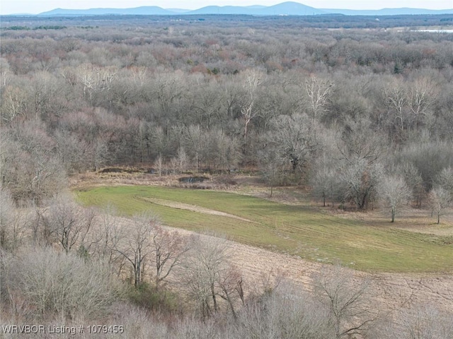 013 N Rhino Rd, Spiro, OK 74959 - photo 32