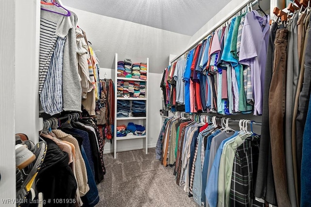 9301 Canopy Oaks Dr, Fort Smith, AR 72903 - walk in closet with carpet floors