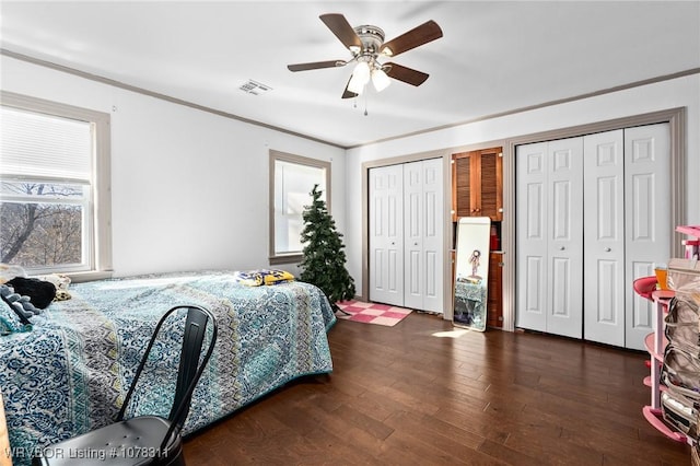 bedroom with two closets, ceiling fan, crown molding, and dark hardwood / wood-style floors