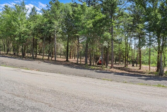 16275 Lovings Rd, Heavener, OK 74937 - photo 43