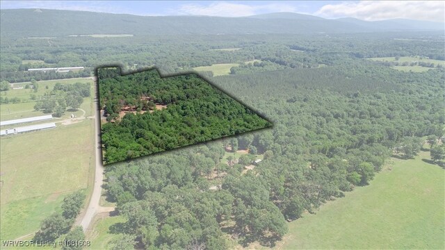 16275 Lovings Rd, Heavener, OK 74937 - photo 5