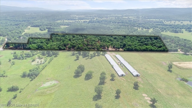16275 Lovings Rd, Heavener, OK 74937 - photo 4