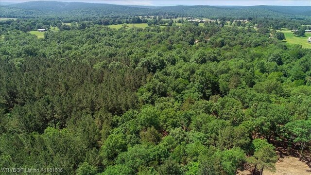 16275 Lovings Rd, Heavener, OK 74937 - photo 23