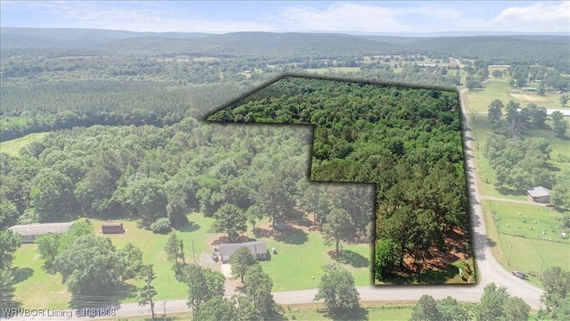 16275 Lovings Rd, Heavener, OK 74937 - photo 2