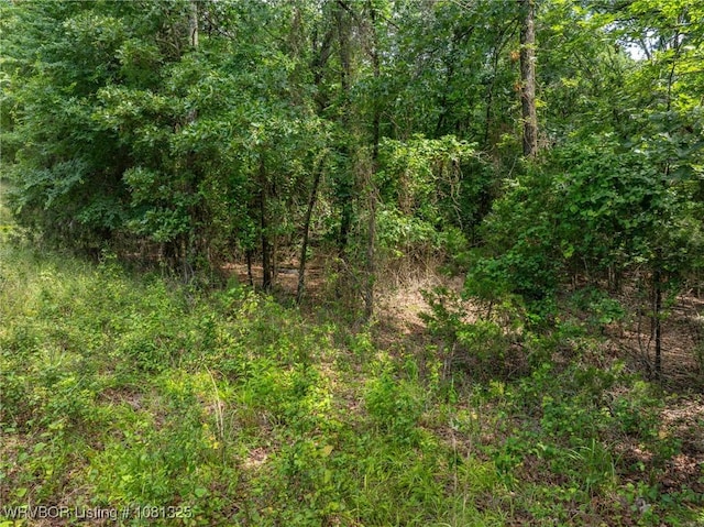 TBD Harvest Drive, Alma, AR 72921