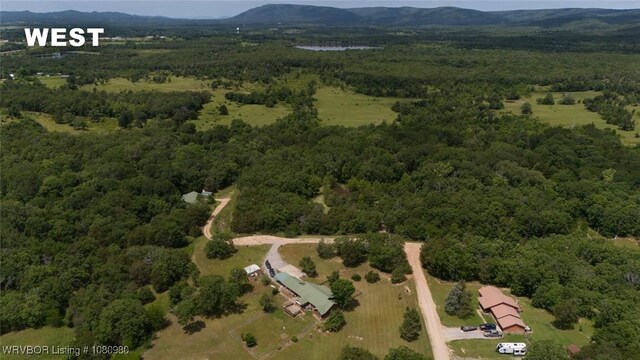 52390 Ridge Rd, Talihina, OK 74571 - photo 34