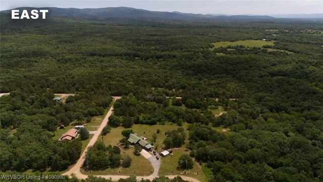 52390 Ridge Rd, Talihina, OK 74571 - photo 32