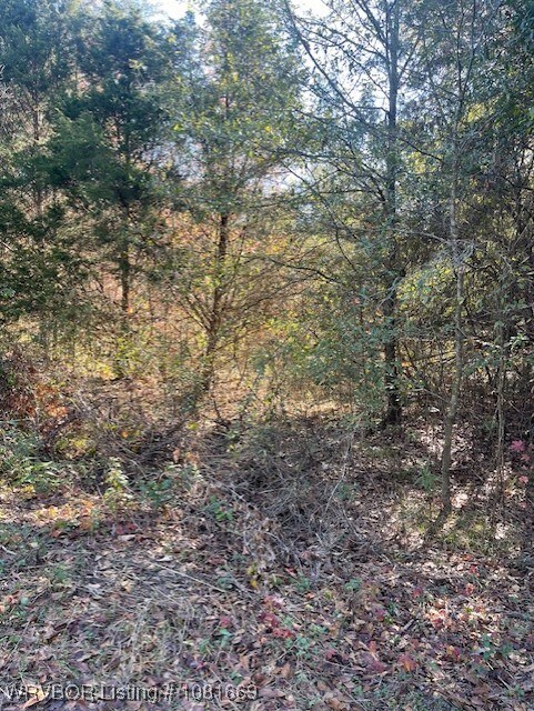 TBD Goff Cir, Dyer, AR 72921 - photo 4