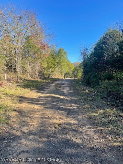 TBD Goff Cir, Dyer, AR 72921 - photo 2