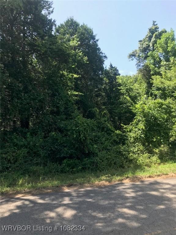 12148 Shiloh Rd, Van Buren, AR 72956 - photo 3