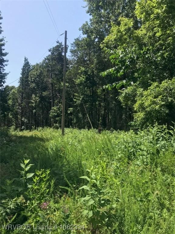 12148 Shiloh Rd, Van Buren, AR 72956 - photo 2