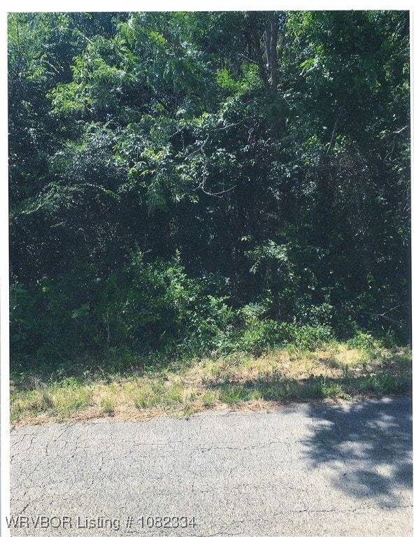 12148 Shiloh Rd, Van Buren, AR 72956 - photo 1