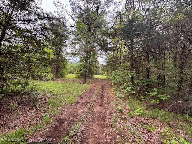 4245 W Piney Mountain Rd, Waldron, AR 72958 - exterior space with a view of trees