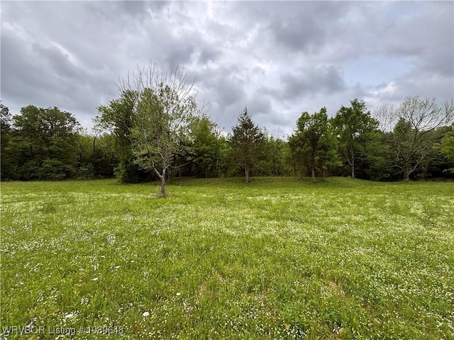 4245 W Piney Mountain Rd, Waldron, AR 72958 - view of yard featuring a wooded view