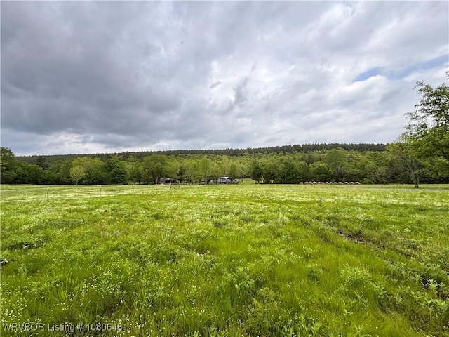 4245 W Piney Mountain Rd, Waldron, AR 72958 - view of nature with a wooded view and a rural view