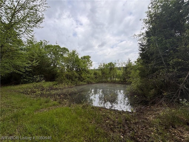 4245 W Piney Mountain Rd, Waldron, AR 72958 - property view of water with a view of trees