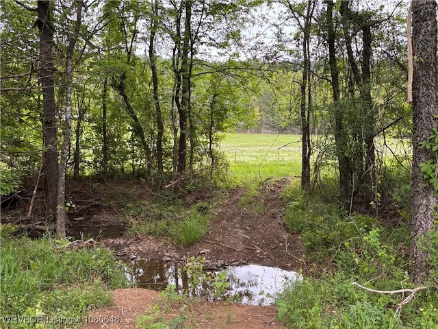 4245 W Piney Mountain Rd, Waldron, AR 72958 - view of nature with a forest view