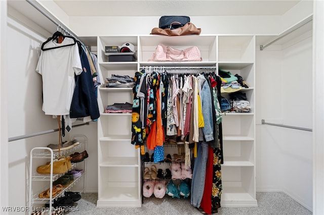 view of walk in closet