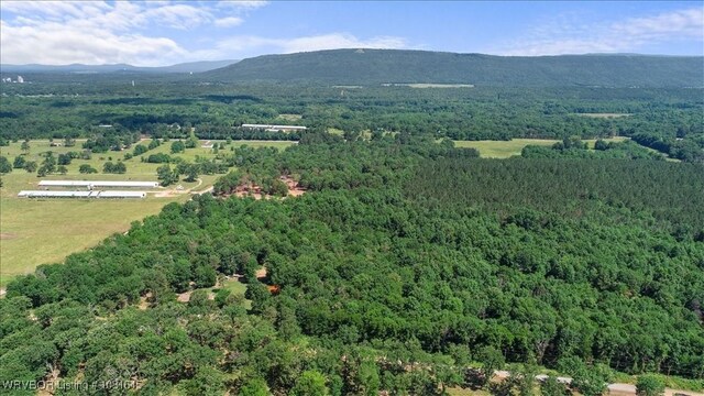 LOT1 Walker Mountain Rd, Heavener, OK 74937 - photo 3