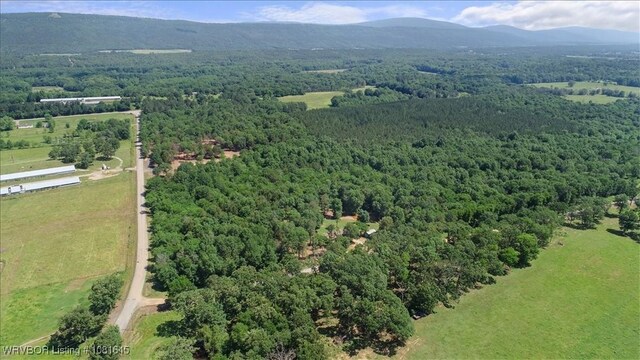 LOT1 Walker Mountain Rd, Heavener, OK 74937 - photo 34