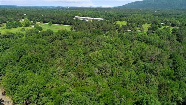 LOT1 Walker Mountain Rd, Heavener, OK 74937 - photo 19