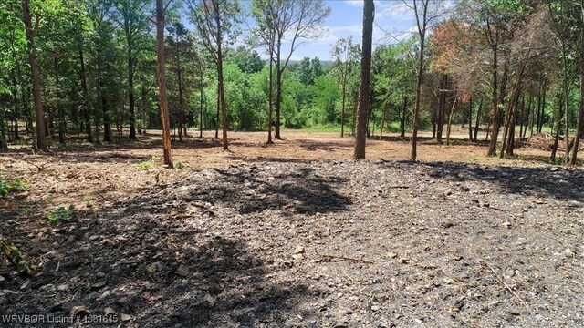 LOT1 Walker Mountain Rd, Heavener, OK 74937 - photo 8
