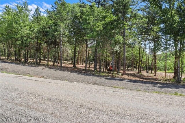 LOT1 Walker Mountain Rd, Heavener, OK 74937 - photo 33