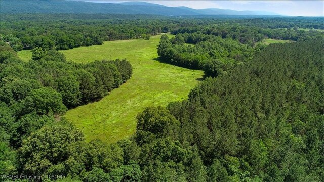 LOT1 Walker Mountain Rd, Heavener, OK 74937 - photo 17